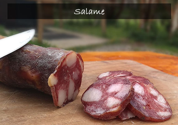 Lorem ipsum dolor sit amet, consectetur adipiscing elit. Phasellus quis elementum odio. Curabitur pellentesque, dolor vel pharetra mollis.