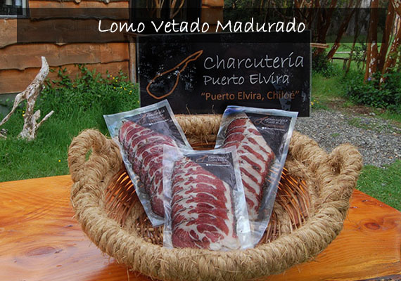 Lorem ipsum dolor sit amet, consectetur adipiscing elit. Phasellus quis elementum odio. Curabitur pellentesque, dolor vel pharetra mollis.